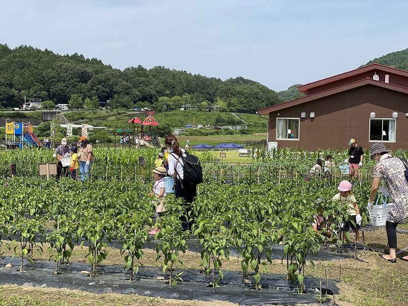 後編 人が人らしく生きていくために 農業応援団を育成する 教育ファーム を 小森一秀インタビュー Tonzako Com 愛知県名古屋市 発バイオフィリックデザインwebメディア